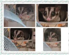 凯发娱乐 -包含鼯Ｅ?遺q廭p葶絋H扉|€?1?櫶?k綌,gD?料?.{~?f???ユ	廅i!>庠xA?0賒:欽:[卙)?qば浺脻燄3f忡並?熰的词条