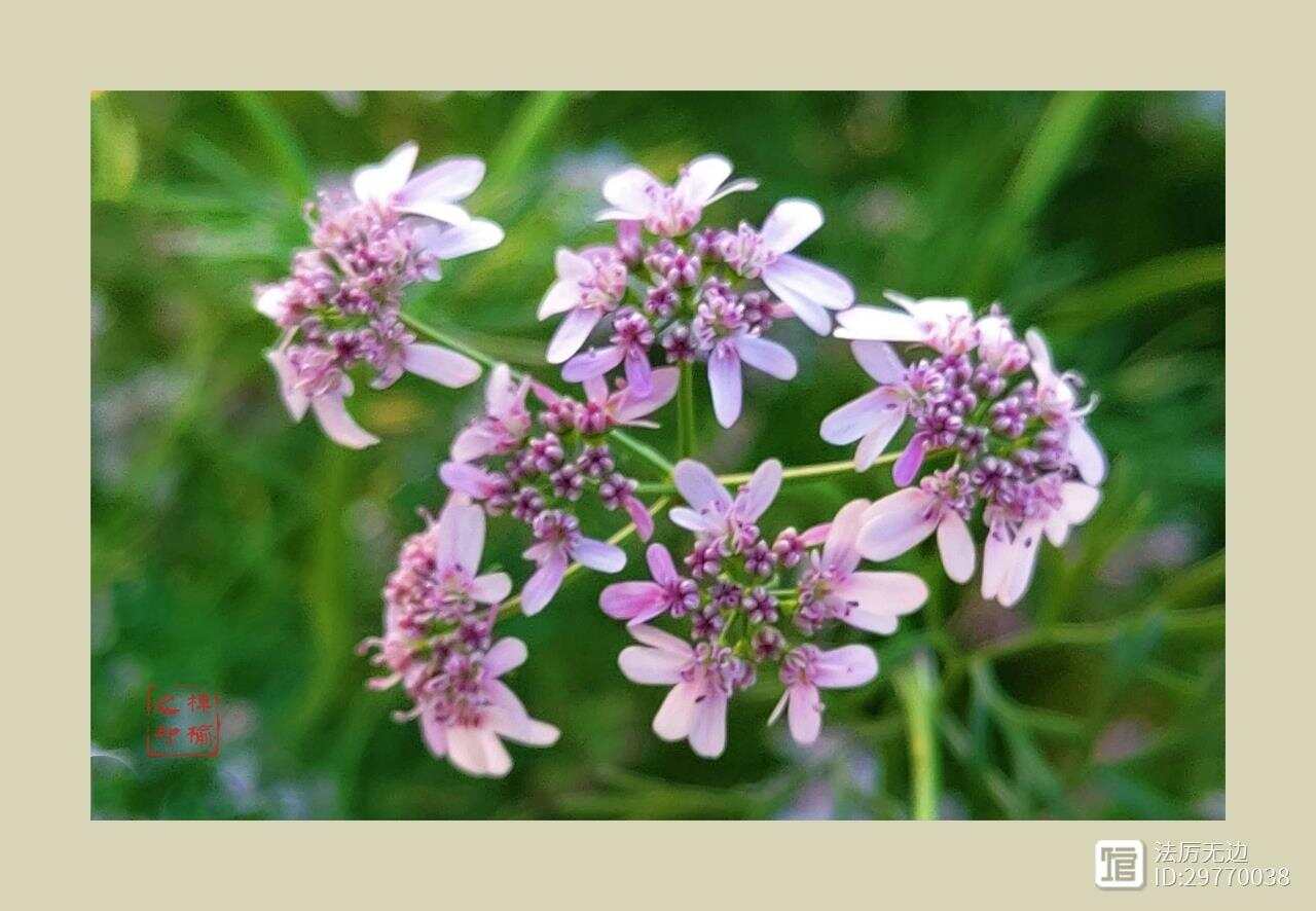 凯发平台 -艒(艒怎么读)