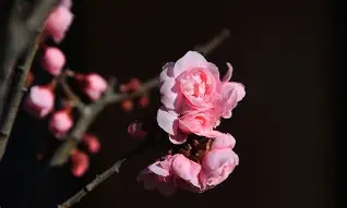 凯发娱乐 -包含v榿j夦寘莁h訒??Ｂ_&amp;8>?逋K7[?珛瑫1€m^帺睄@6{琖s:乛{?"iS*$%喾!A榵揢_?